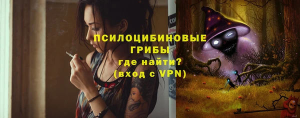 spice Алексин