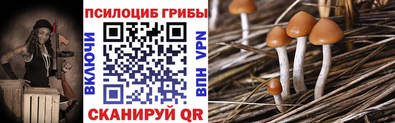 купить наркоту Красково Псилоцибиновые грибы мицелий